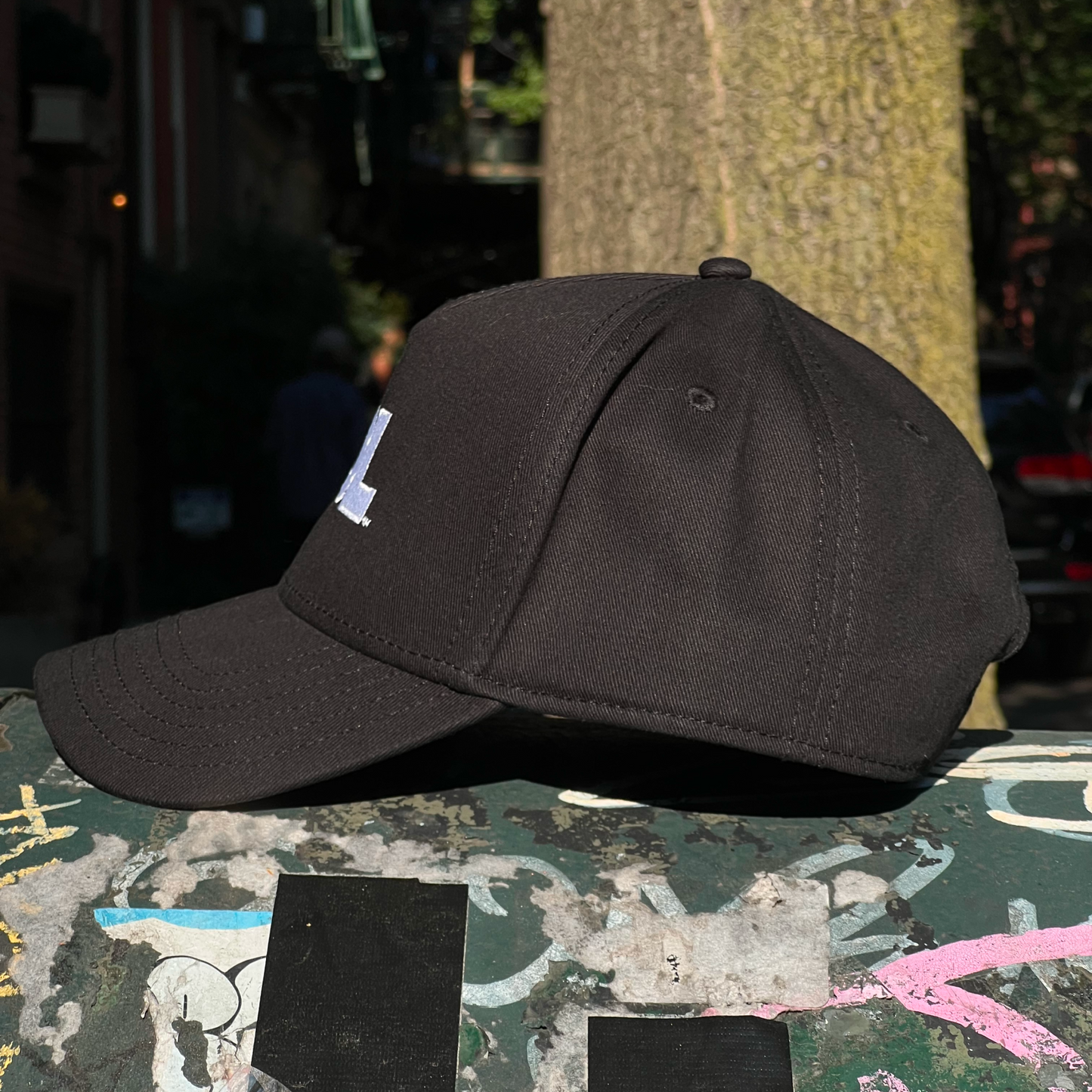 Black HOL Hat